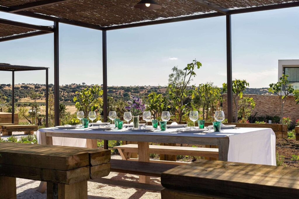 Octant Evora, vinoteka