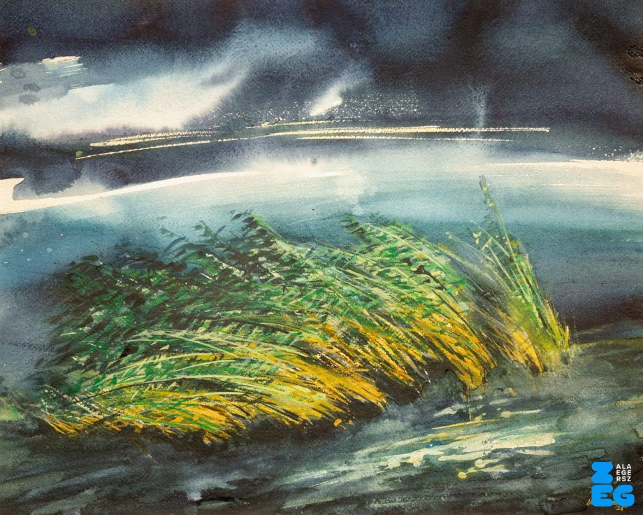 Ízelítő Veszeli Lajos képeiből